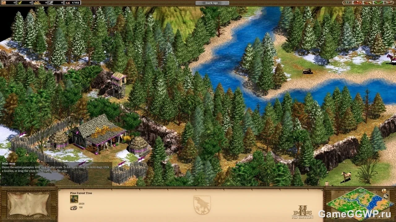 Скриншот Age of Empires 2