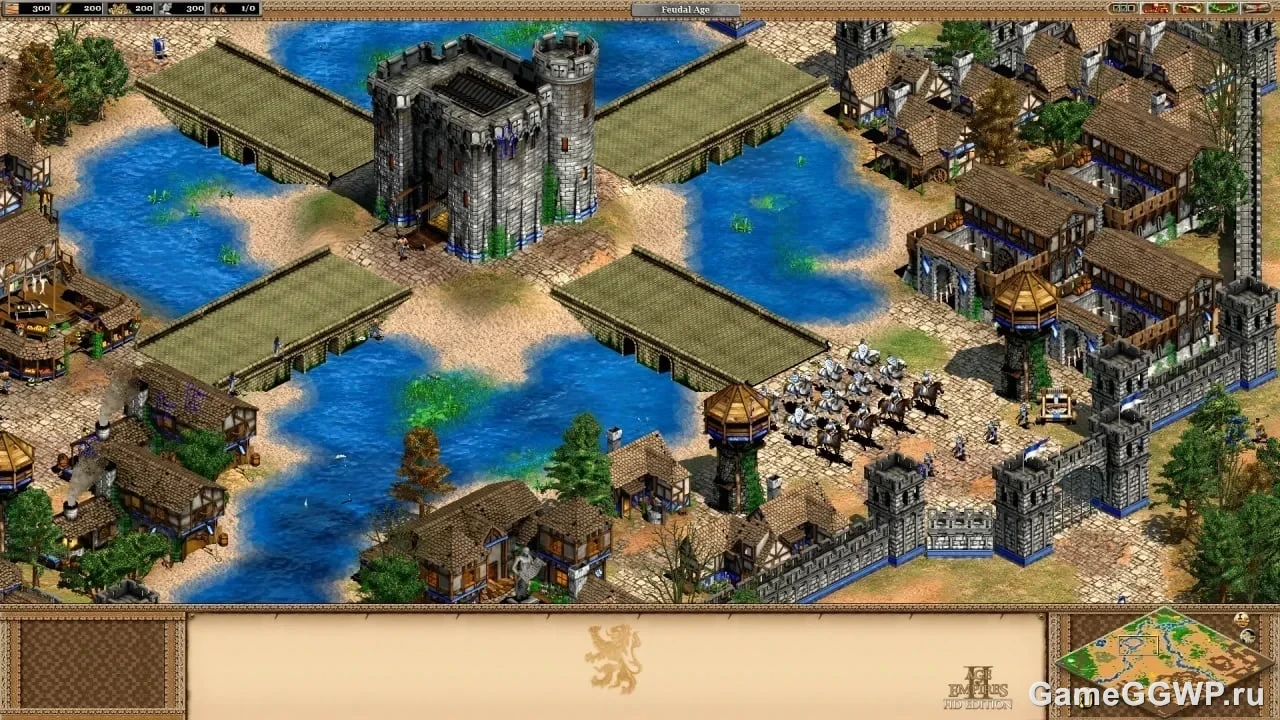 Скриншот Age of Empires 2